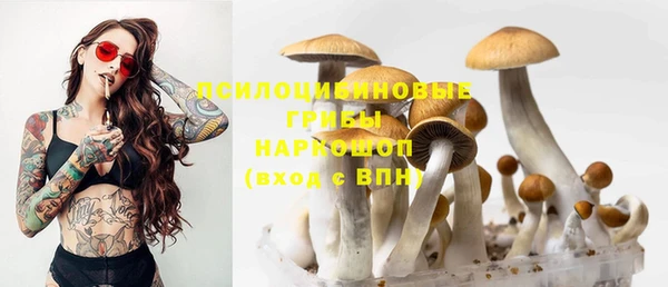 mdpv Баксан