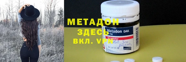 шишки Надым