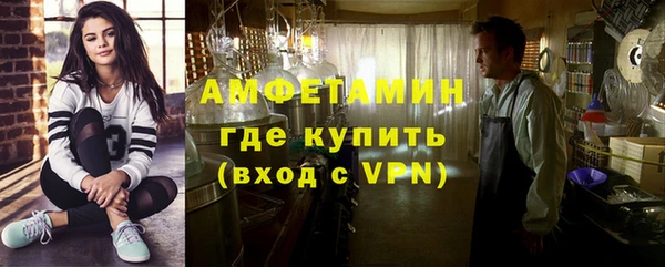 шишки Надым