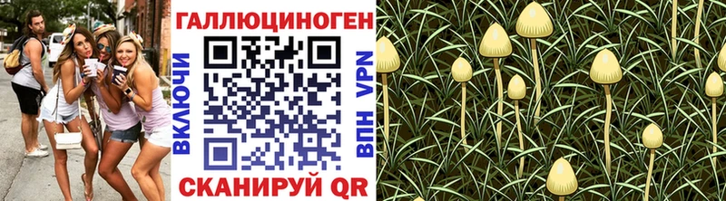 Галлюциногенные грибы ЛСД Щёкино