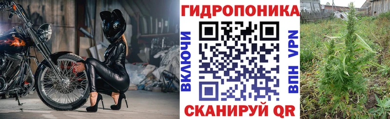 хочу наркоту  Щёкино  Конопля индика 